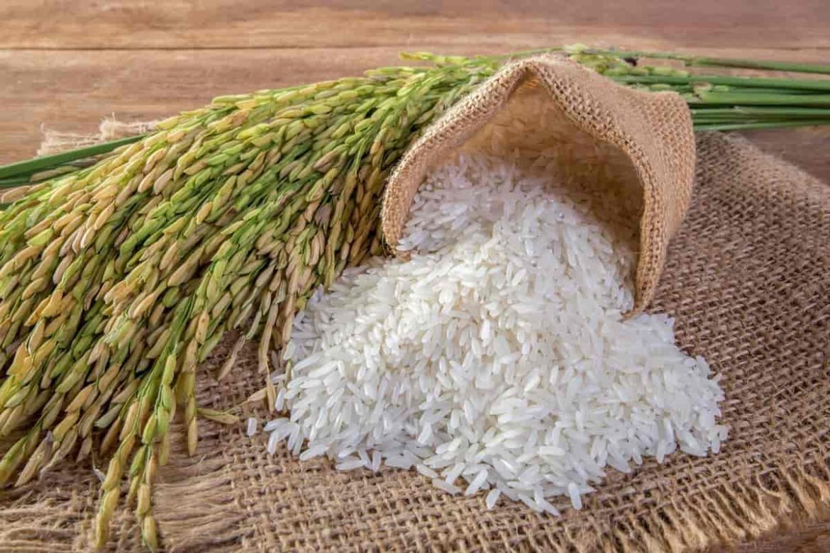 شخصی با برنج تایلندی هومالی توانست تجارت بین المللی در روستای دورافتاده راه اندازی کند